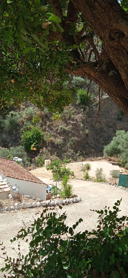 Morales Cottage Альмохия Экстерьер фото